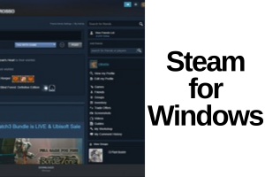 Steam for Windows