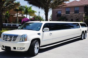 chauffeurs services