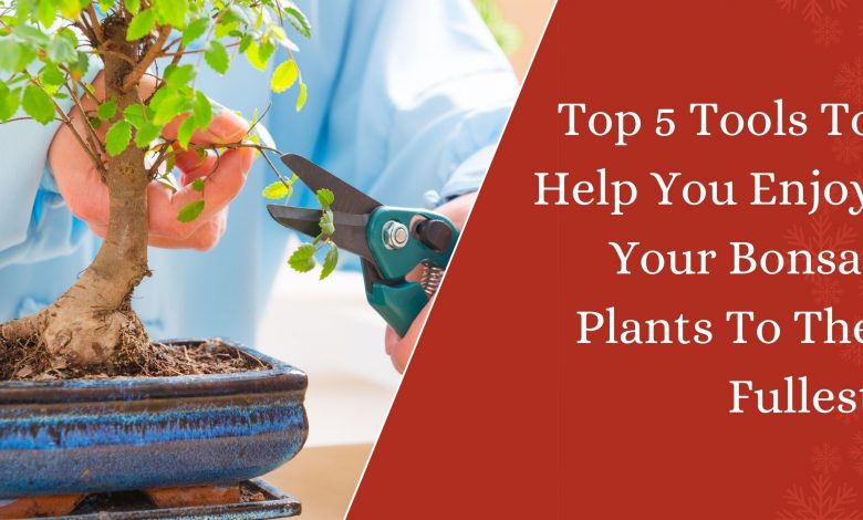 Top 5 Tools To Help You Enjoy Your Bonsai Plants To The Fullest