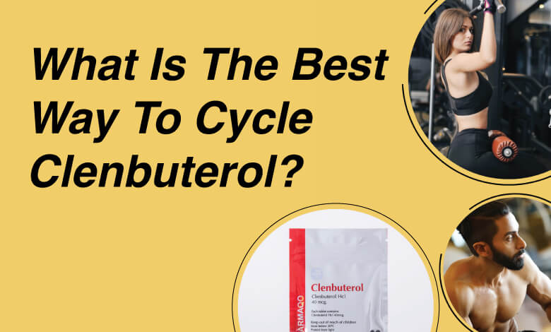 What-is-the-best-way-to-cycle-Clenbuterol (1)