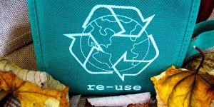 reusable bags