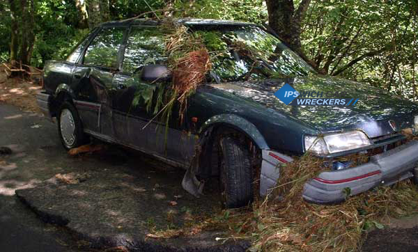 Flood Smashed Vehicles