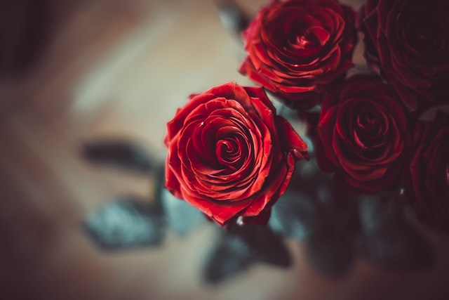 buy roses online