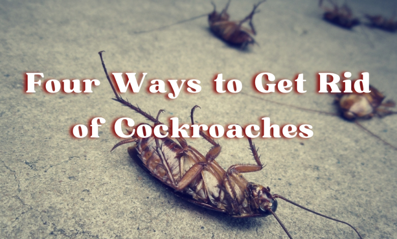 cockroaches removal