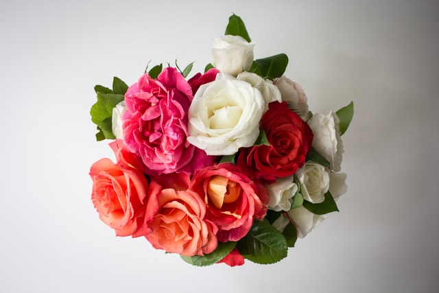 buy roses online flower