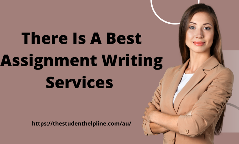 assignment writing services