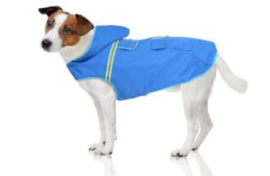 Bella Balu Pet raincoat with hood and reflectors