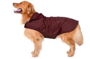 Dog Raincoat with Hood and Collar Hole and Secure