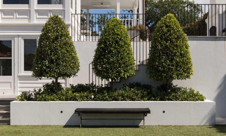 Landscaping services Brisbane