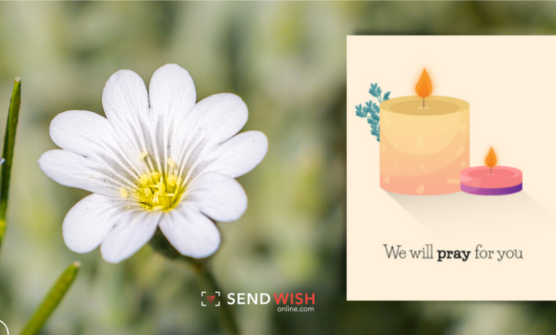 sympathy cards