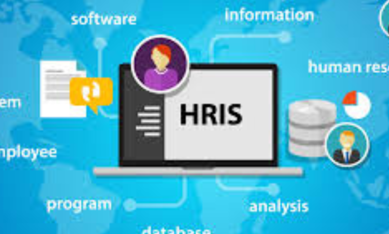 Human Resource Management Software