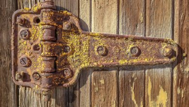 Photo of From Rusty Relics to Secure Sentinels: The Intriguing Evolution of Jail Door Hinges